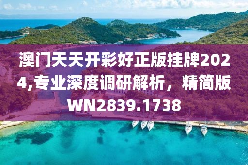 澳門天天開彩好正版掛牌2024,專業(yè)深度調(diào)研解析，精簡版WN2839.1738