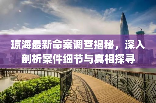 瓊海最新命案調(diào)查揭秘，深入剖析案件細(xì)節(jié)與真相探尋