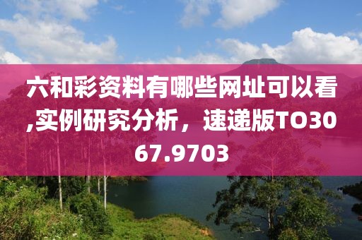 六和彩資料有哪些網(wǎng)址可以看,實(shí)例研究分析，速遞版TO3067.9703