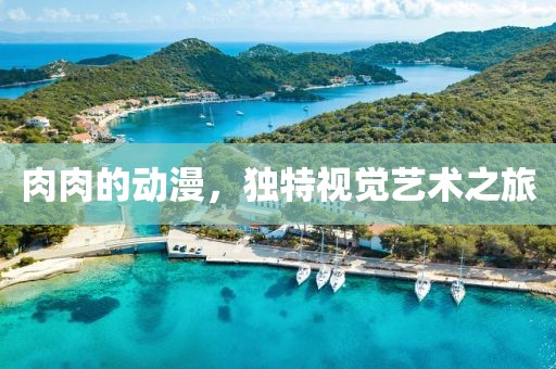 肉肉的動(dòng)漫，獨(dú)特視覺(jué)藝術(shù)之旅