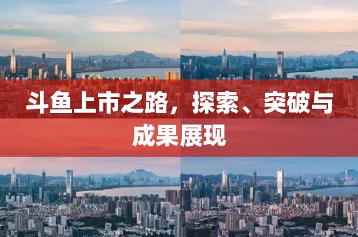斗魚(yú)上市之路，探索、突破與成果展現(xiàn)