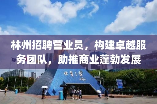 林州招聘營業(yè)員，構(gòu)建卓越服務(wù)團(tuán)隊(duì)，助推商業(yè)蓬勃發(fā)展