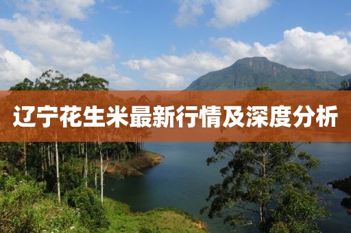 遼寧花生米最新行情及深度分析