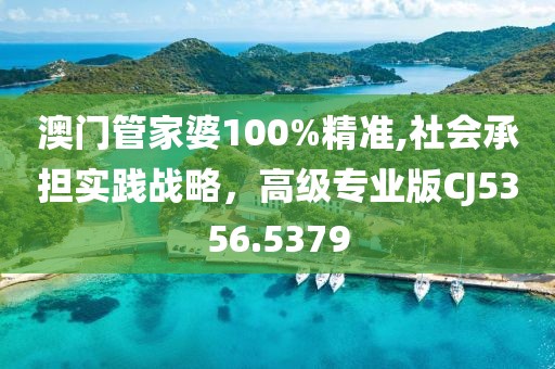 澳門管家婆100%精準,社會承擔實踐戰(zhàn)略，高級專業(yè)版CJ5356.5379
