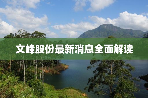文峰股份最新消息全面解讀