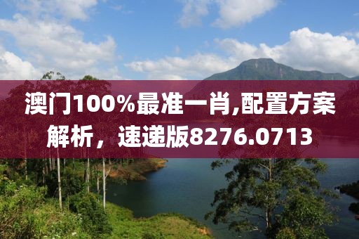 澳門(mén)100%最準(zhǔn)一肖,配置方案解析，速遞版8276.0713