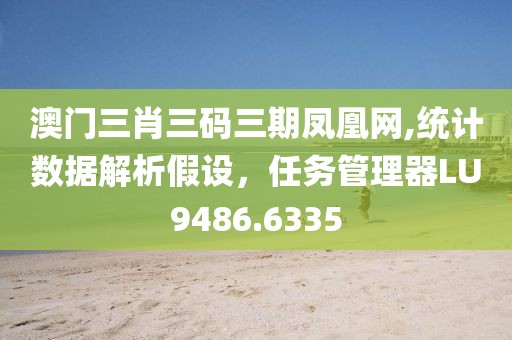 澳門三肖三碼三期鳳凰網(wǎng),統(tǒng)計數(shù)據(jù)解析假設，任務管理器LU9486.6335