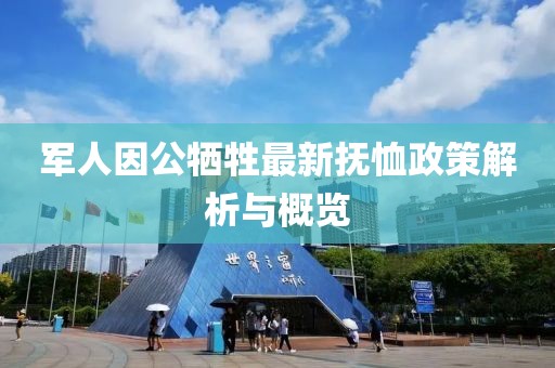 軍人因公犧牲最新?lián)嵝粽呓馕雠c概覽