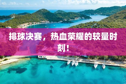 排球決賽，熱血榮耀的較量時刻！