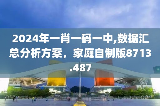 2024年一肖一碼一中,數(shù)據(jù)匯總分析方案，家庭自制版8713.487