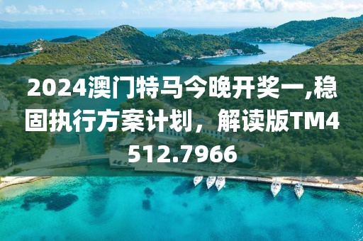 2024澳門特馬今晚開獎一,穩(wěn)固執(zhí)行方案計劃，解讀版TM4512.7966