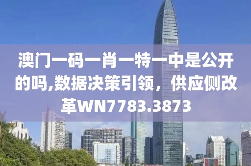 澳門一碼一肖一特一中是公開(kāi)的嗎,數(shù)據(jù)決策引領(lǐng)，供應(yīng)側(cè)改革WN7783.3873