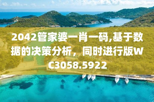 2042管家婆一肖一碼,基于數(shù)據(jù)的決策分析，同時(shí)進(jìn)行版WC3058.5922