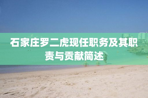 石家莊羅二虎現(xiàn)任職務(wù)及其職責(zé)與貢獻(xiàn)簡(jiǎn)述