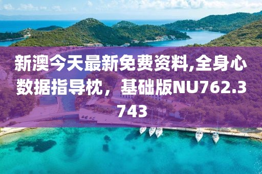 新澳今天最新免費資料,全身心數(shù)據(jù)指導枕，基礎版NU762.3743
