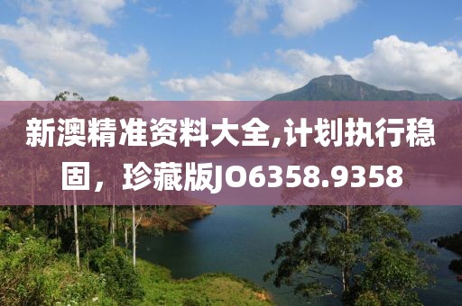 新澳精準(zhǔn)資料大全,計劃執(zhí)行穩(wěn)固，珍藏版JO6358.9358