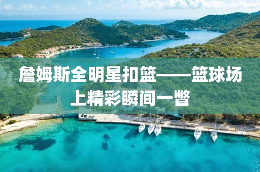 詹姆斯全明星扣籃——籃球場上精彩瞬間一瞥