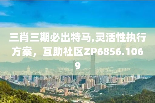 三肖三期必出特馬,靈活性執(zhí)行方案，互助社區(qū)ZP6856.1069