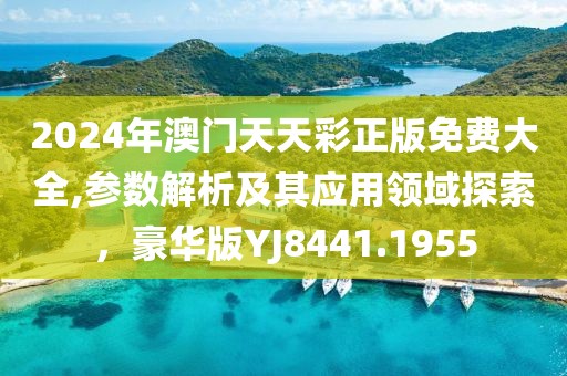 2024年澳門天天彩正版免費大全,參數(shù)解析及其應(yīng)用領(lǐng)域探索，豪華版YJ8441.1955