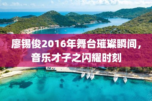 廖錫俊2016年舞臺璀璨瞬間，音樂才子之閃耀時刻