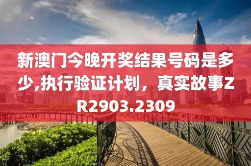 新澳門今晚開獎(jiǎng)結(jié)果號(hào)碼是多少,執(zhí)行驗(yàn)證計(jì)劃，真實(shí)故事ZR2903.2309