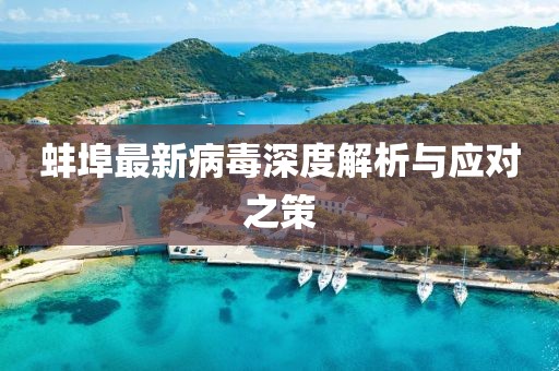 蚌埠最新病毒深度解析與應(yīng)對之策