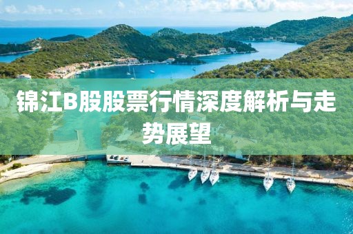 錦江B股股票行情深度解析與走勢(shì)展望