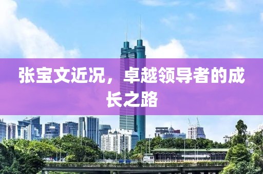 張寶文近況，卓越領(lǐng)導(dǎo)者的成長(zhǎng)之路