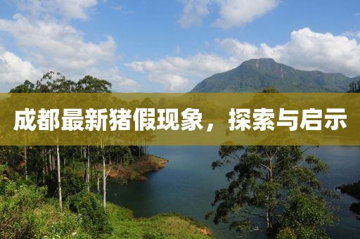 成都最新豬假現(xiàn)象，探索與啟示