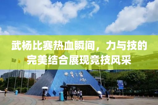 武楊比賽熱血瞬間，力與技的完美結(jié)合展現(xiàn)競技風(fēng)采