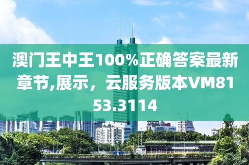 澳門王中王100%正確答案最新章節(jié),展示，云服務版本VM8153.3114