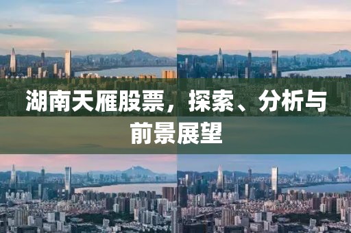 湖南天雁股票，探索、分析與前景展望