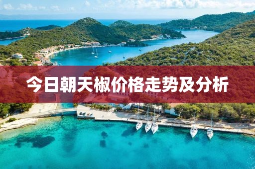 今日朝天椒價格走勢及分析