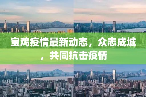 寶雞疫情最新動態(tài)，眾志成城，共同抗擊疫情