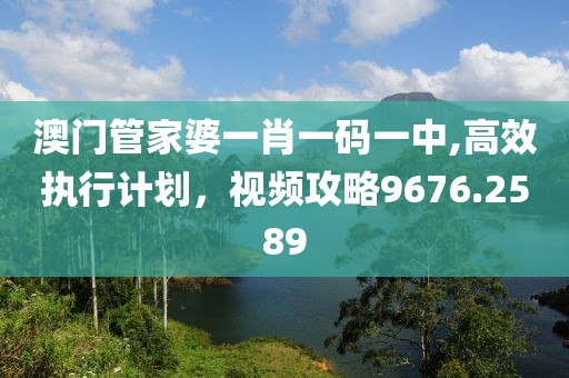 澳門管家婆一肖一碼一中,高效執(zhí)行計(jì)劃，視頻攻略9676.2589