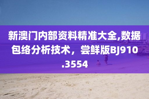 新澳門(mén)內(nèi)部資料精準(zhǔn)大全,數(shù)據(jù)包絡(luò)分析技術(shù)，嘗鮮版BJ910.3554