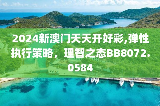 2024新澳門天天開好彩,彈性執(zhí)行策略，理智之態(tài)BB8072.0584