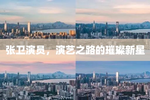 張衛(wèi)演員，演藝之路的璀璨新星