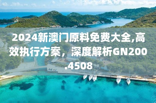 2024新澳門原料免費大全,高效執(zhí)行方案，深度解析GN200.4508
