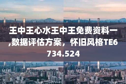 王中王心水王中王免費資料一,數(shù)據(jù)評估方案，懷舊風(fēng)格TE6734.524