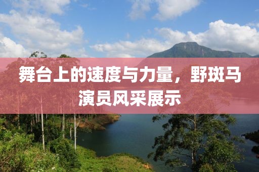 舞臺(tái)上的速度與力量，野斑馬演員風(fēng)采展示