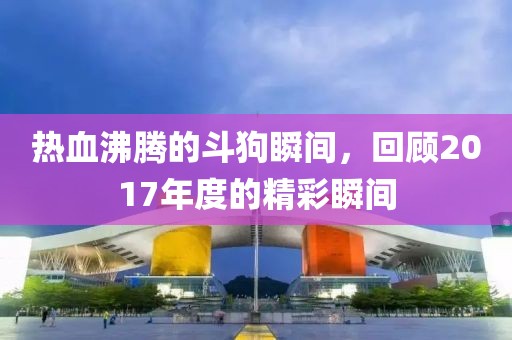 熱血沸騰的斗狗瞬間，回顧2017年度的精彩瞬間