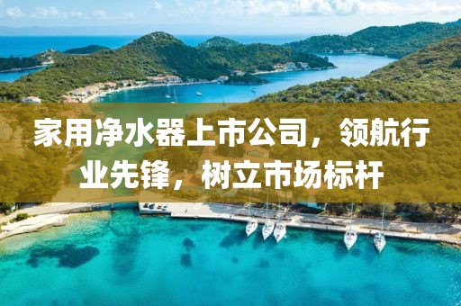 家用凈水器上市公司，領(lǐng)航行業(yè)先鋒，樹立市場標(biāo)桿