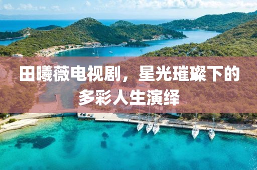 田曦薇電視劇，星光璀璨下的多彩人生演繹