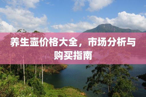 養(yǎng)生壺價格大全，市場分析與購買指南