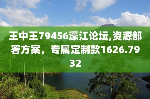 王中王79456濠江論壇,資源部署方案，專屬定制款1626.7932