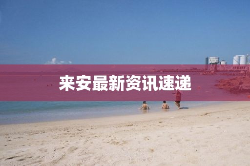 魚的記憶 第4頁
