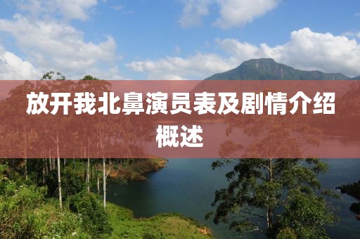 放開(kāi)我北鼻演員表及劇情介紹概述