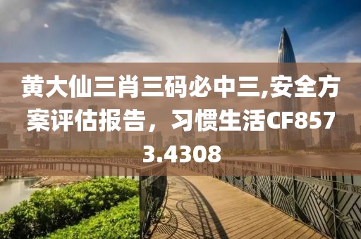 黃大仙三肖三碼必中三,安全方案評(píng)估報(bào)告，習(xí)慣生活CF8573.4308