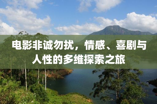 電影非誠勿擾，情感、喜劇與人性的多維探索之旅